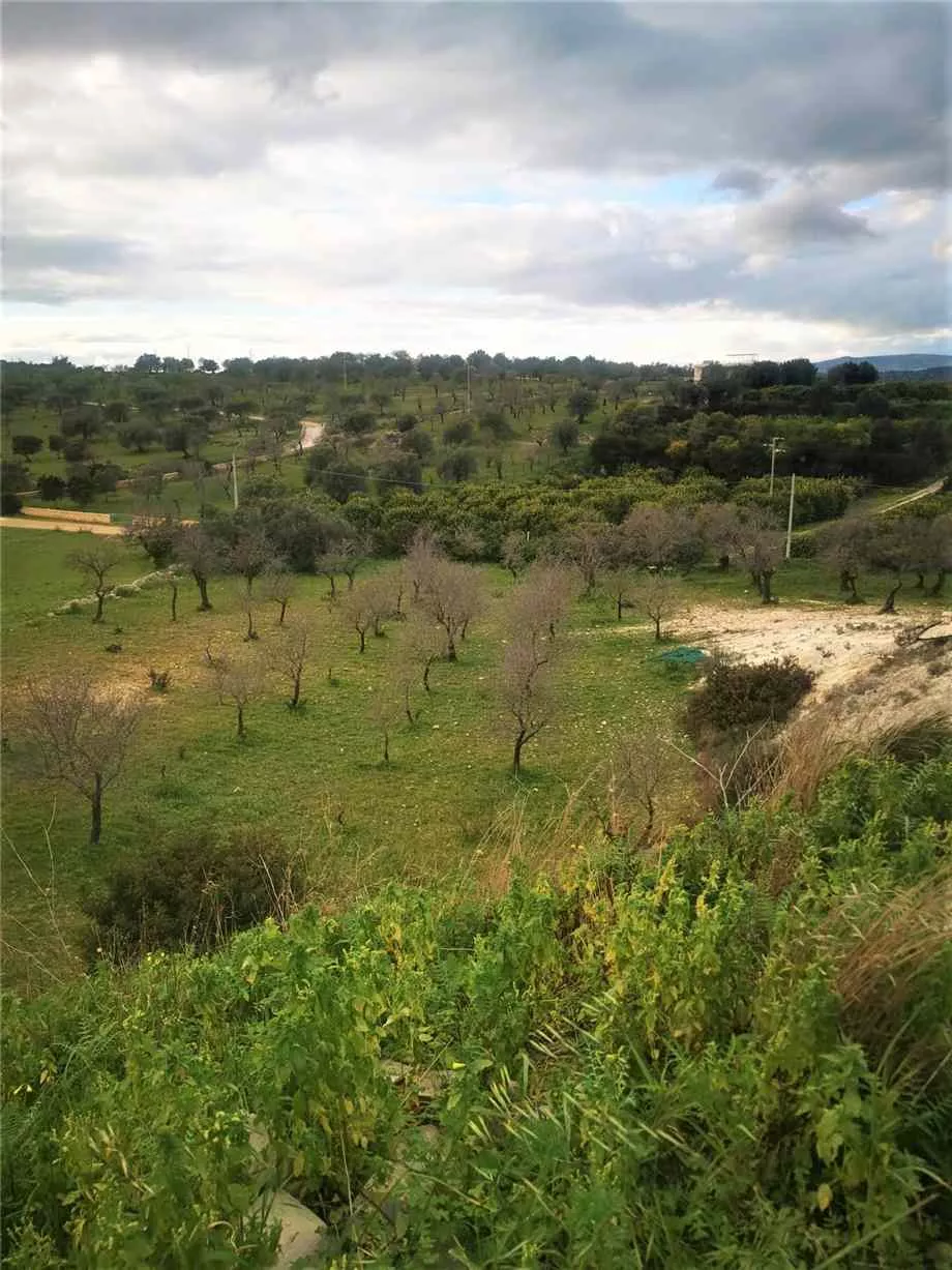 Immagine per Studio in vendita a Noto