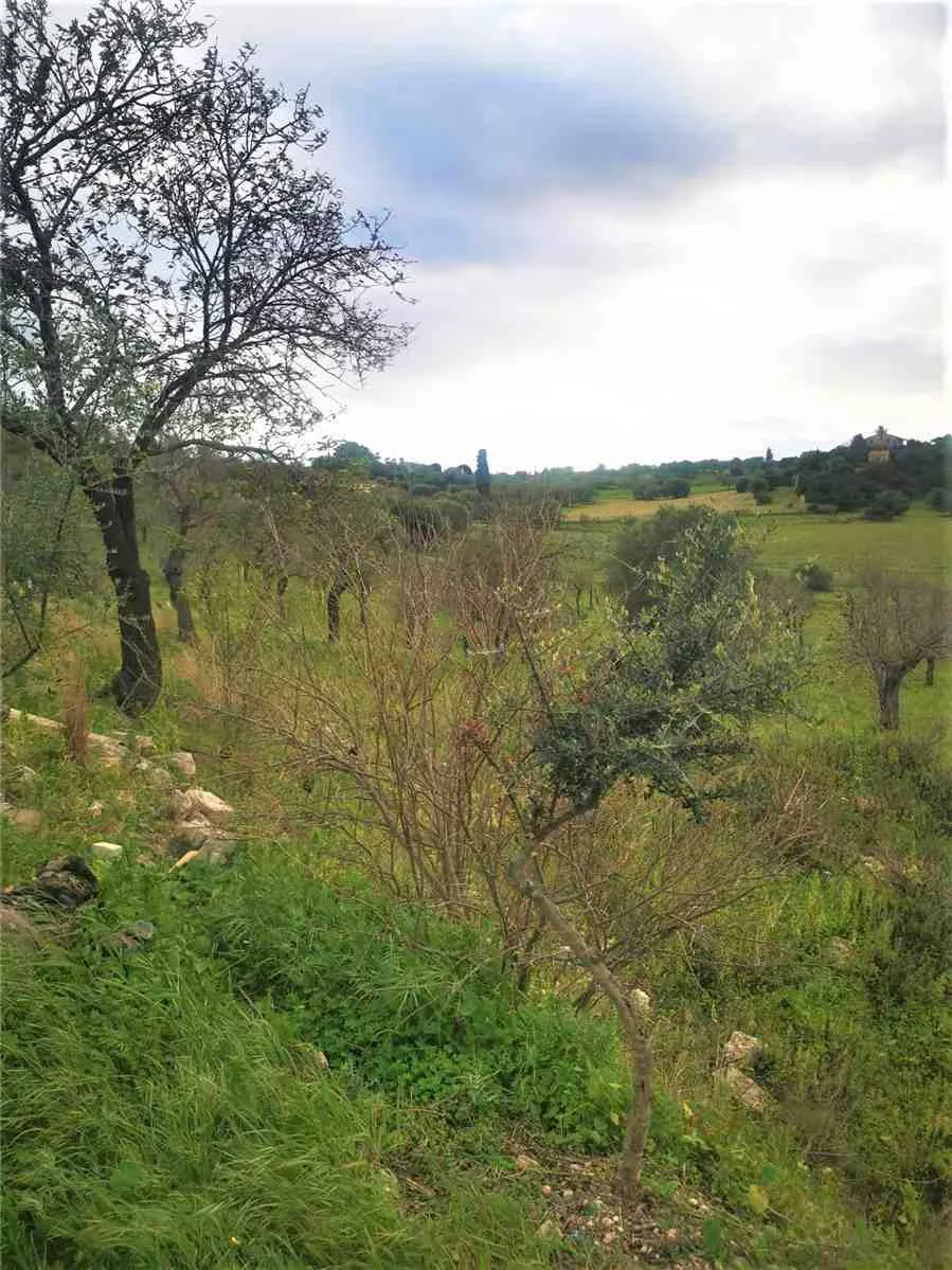 Immagine per Studio in vendita a Noto