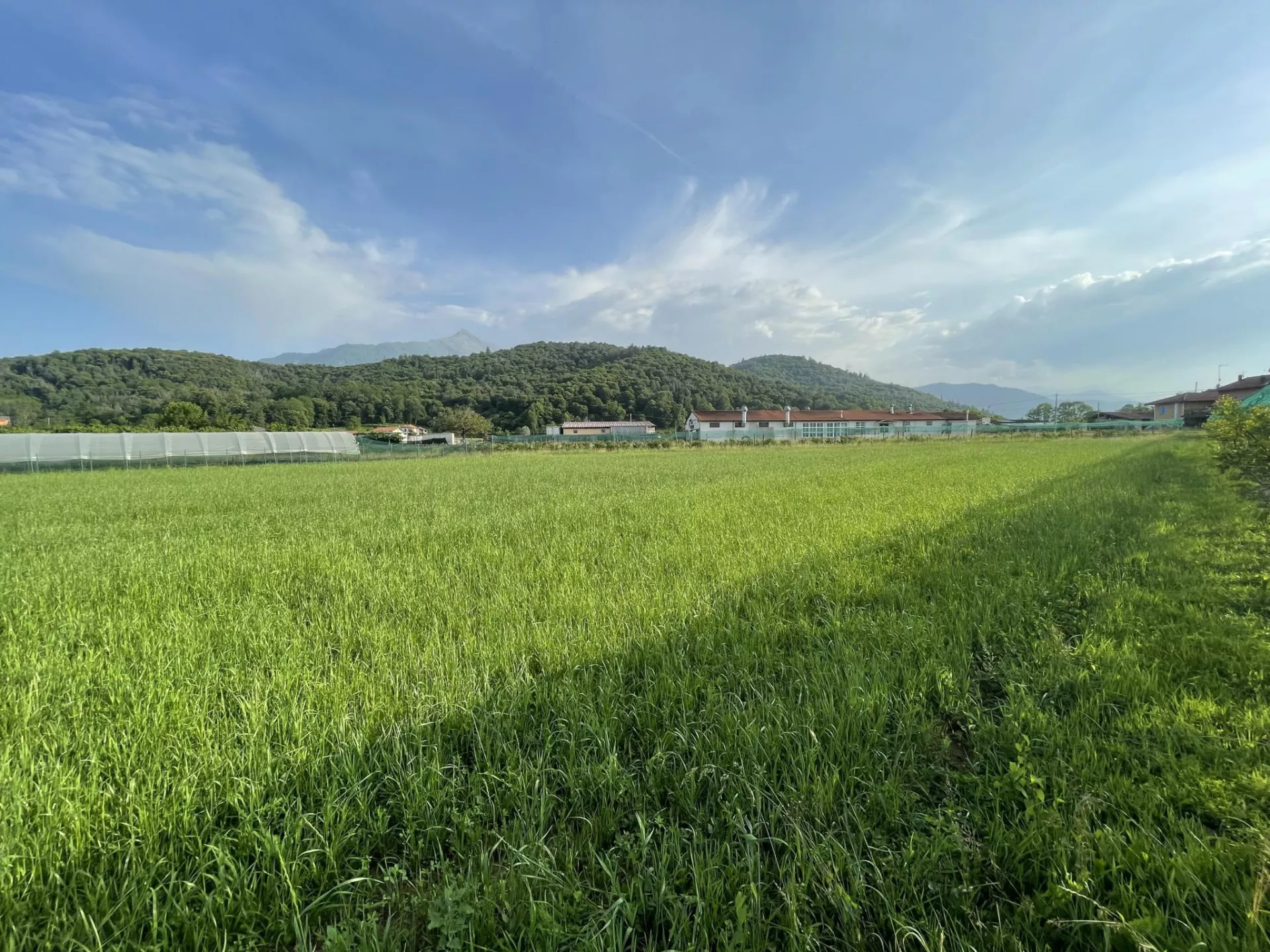 Immagine per Terreno Edificabile in vendita a Peveragno via Cuneo Snc