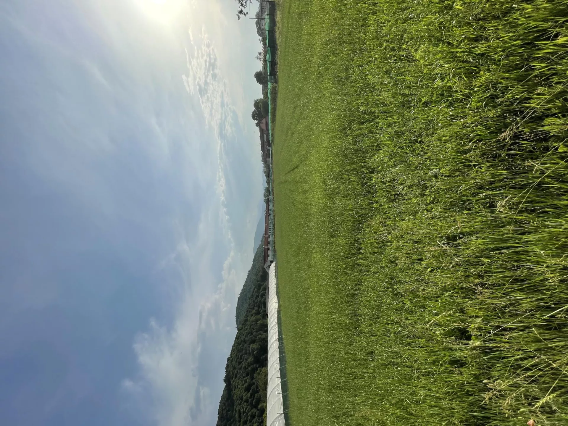 Immagine per Terreno Edificabile in vendita a Peveragno via Cuneo Snc