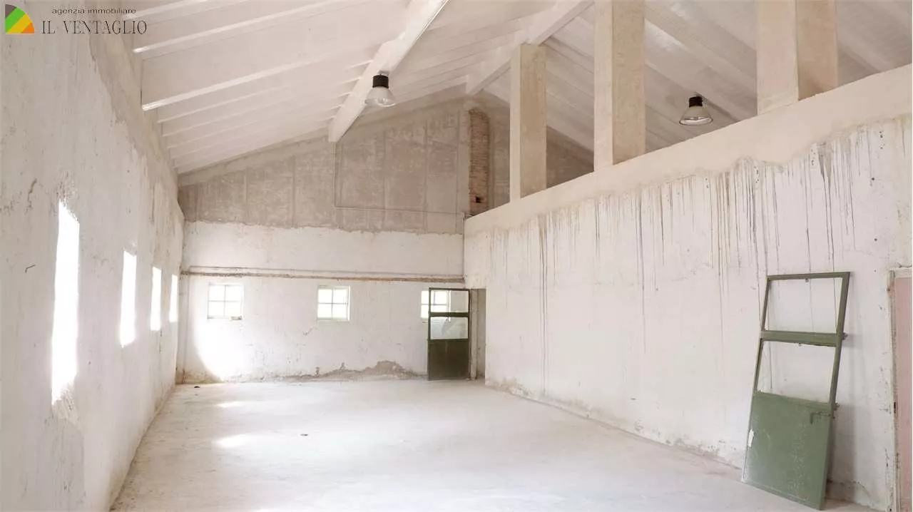 Immagine per Villa in vendita a Sassuolo