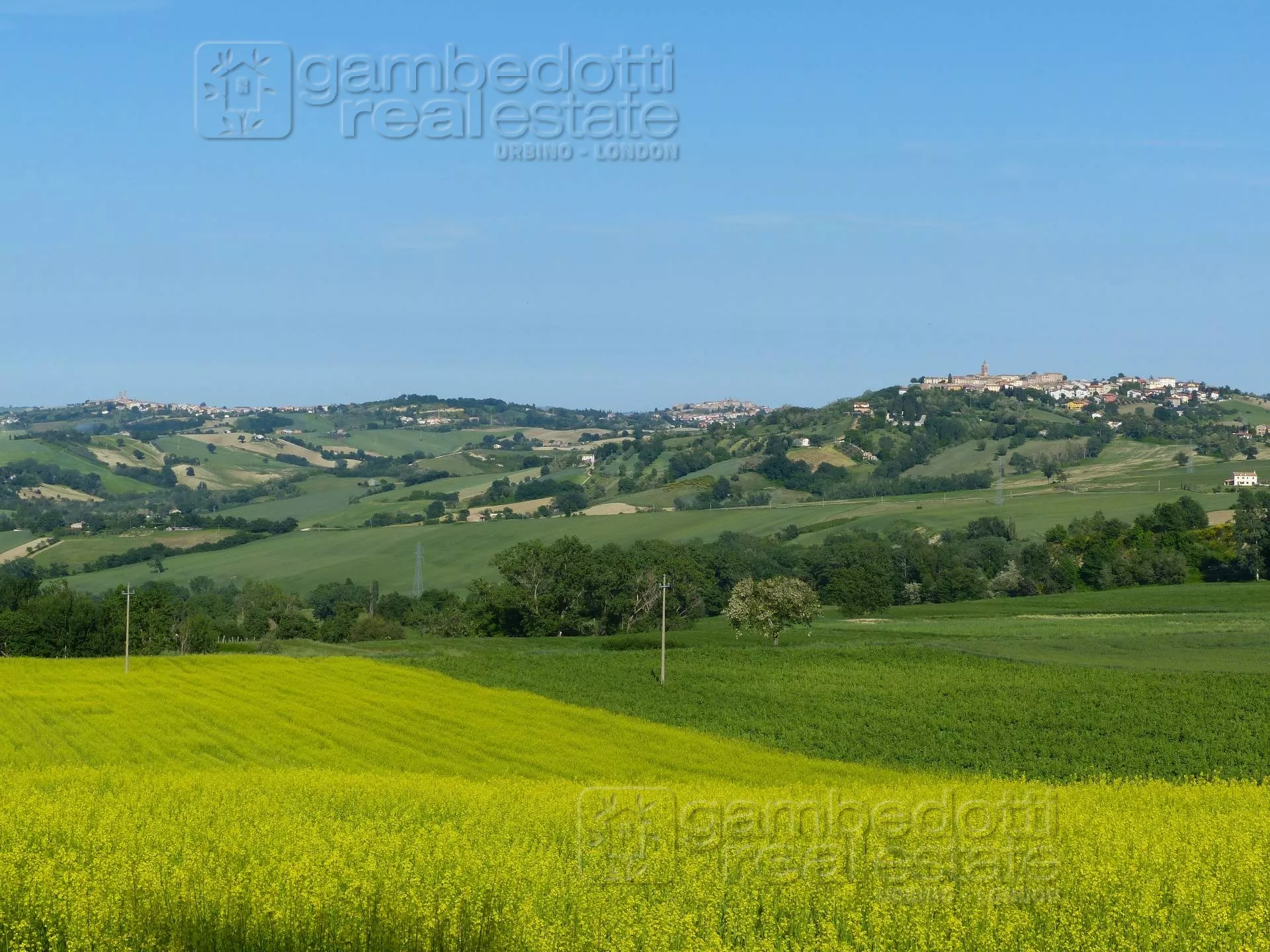 Immagine per Terreno Edificabile in vendita a Sant'Ippolito