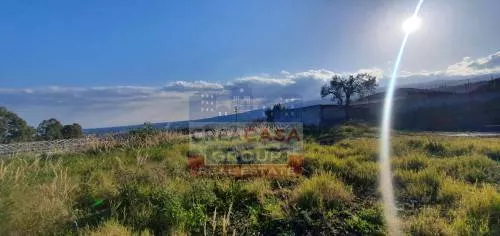 Immagine per Terreno Agricolo in vendita a Calatabiano CONTRADA SAN. GIORGIO