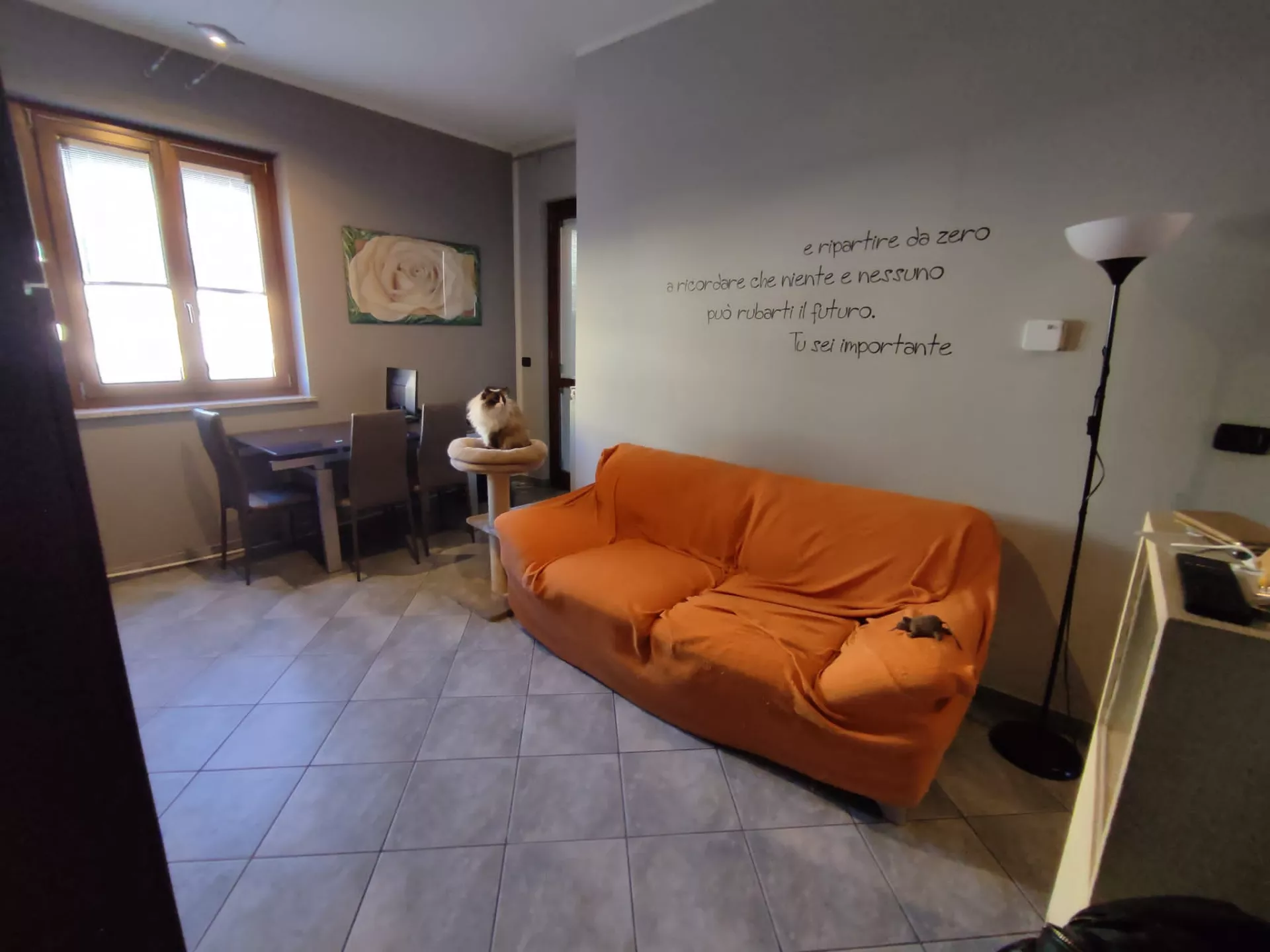 Immagine per Appartamento in vendita a Nichelino via Torino 45