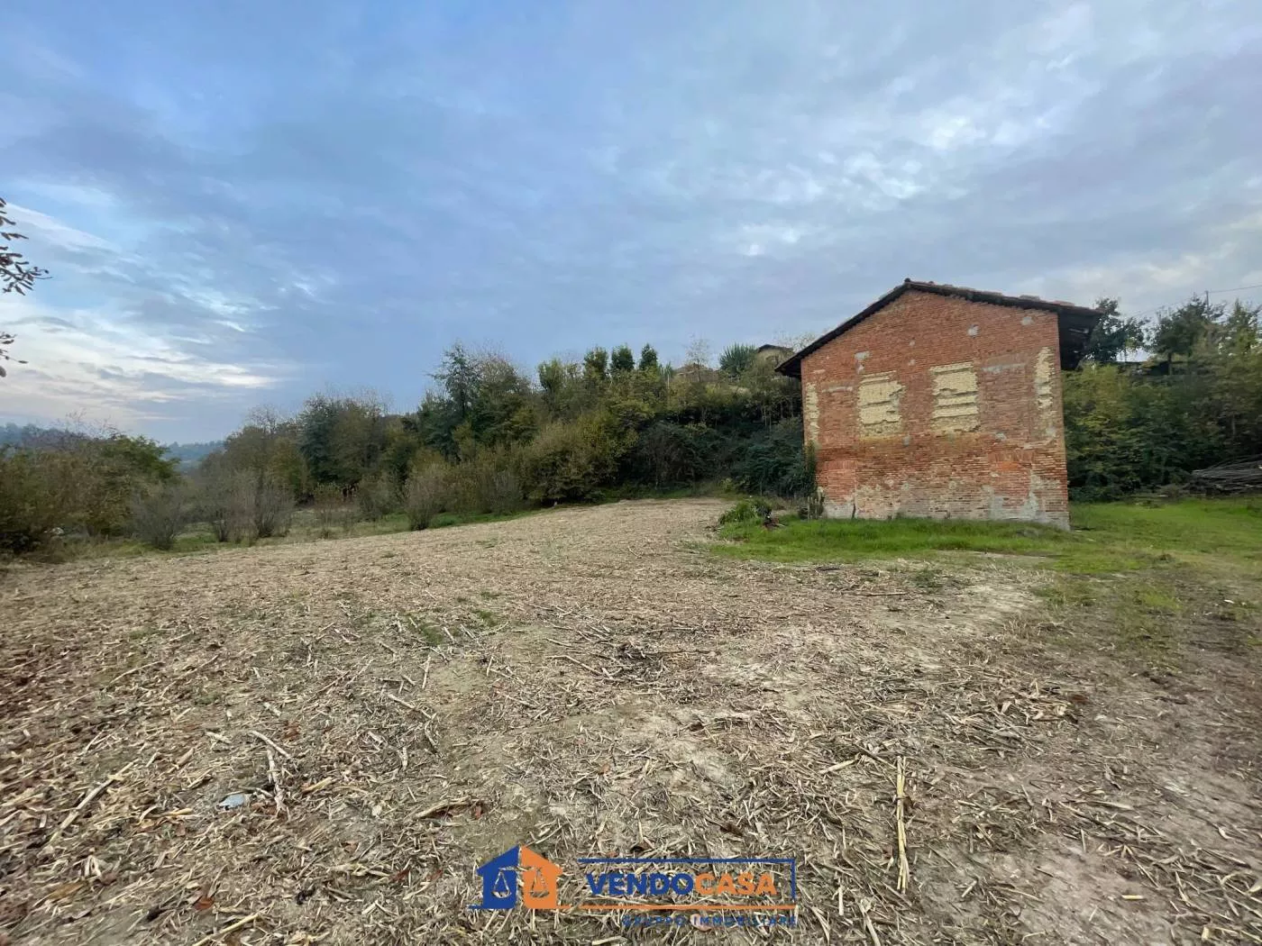 Immagine per Rustico in vendita a San Damiano d'Asti via San Pietro