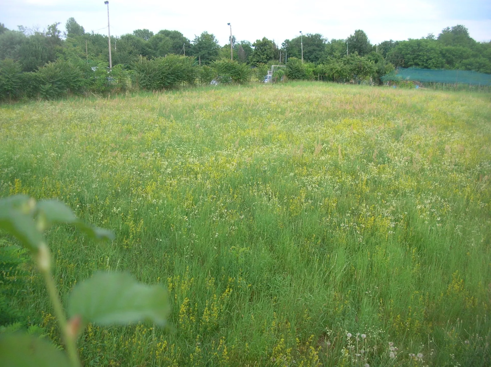 Immagine per Terreno Edificabile in vendita a Val della Torre via Trucco di Brione