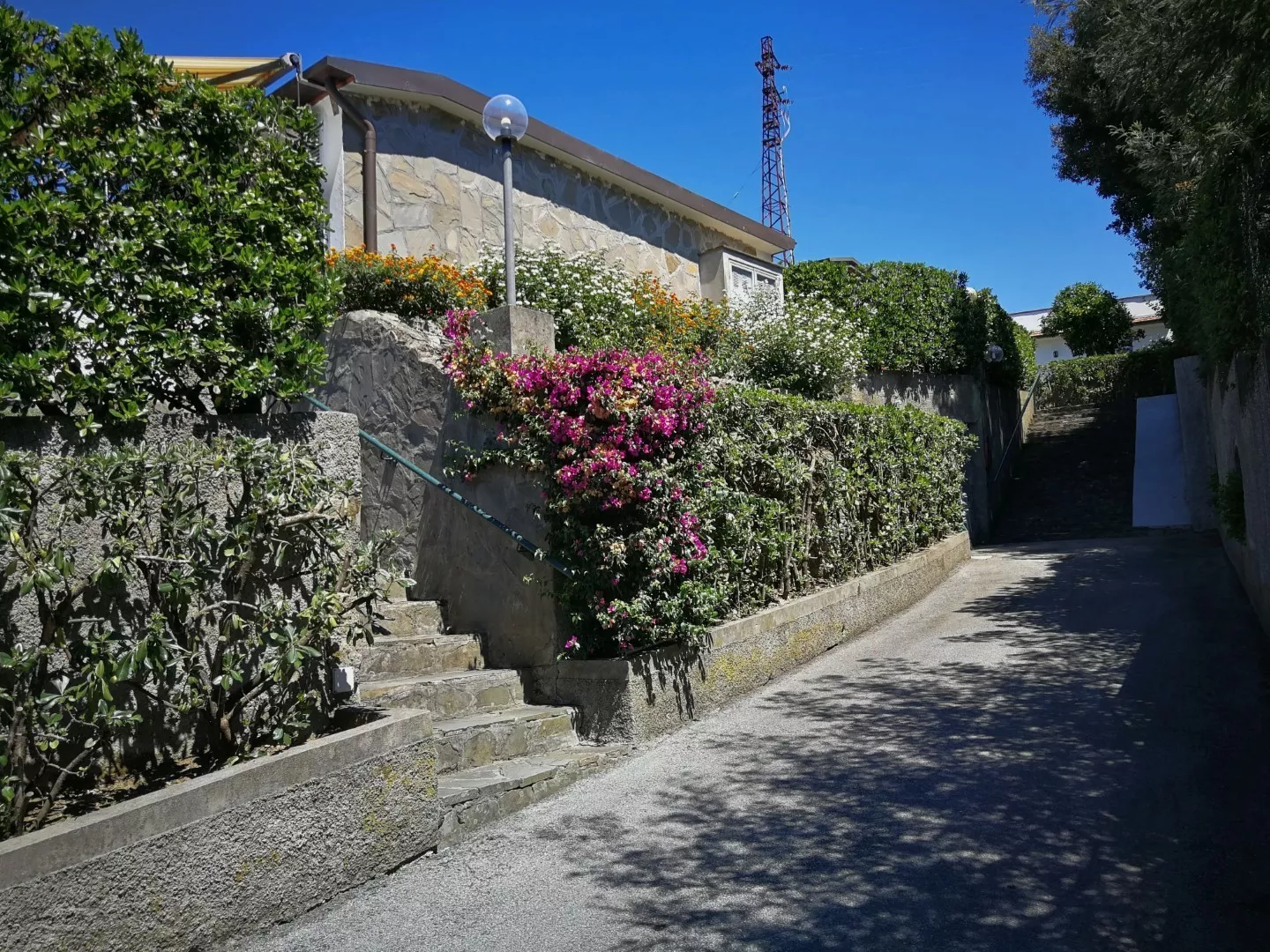 Immagine per Bilolocale in affitto a Sestri Levante via Olanda 47