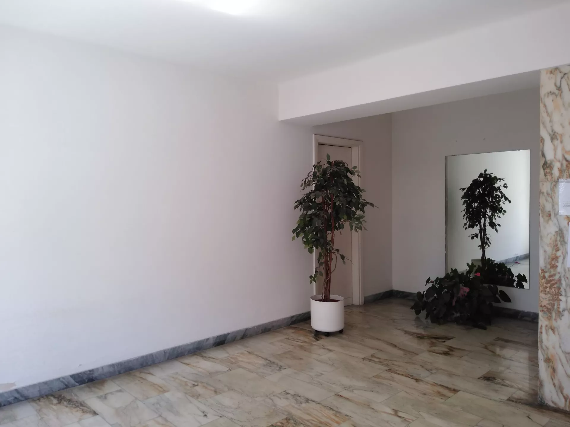 Immagine per Appartamento in Vendita a Carrara