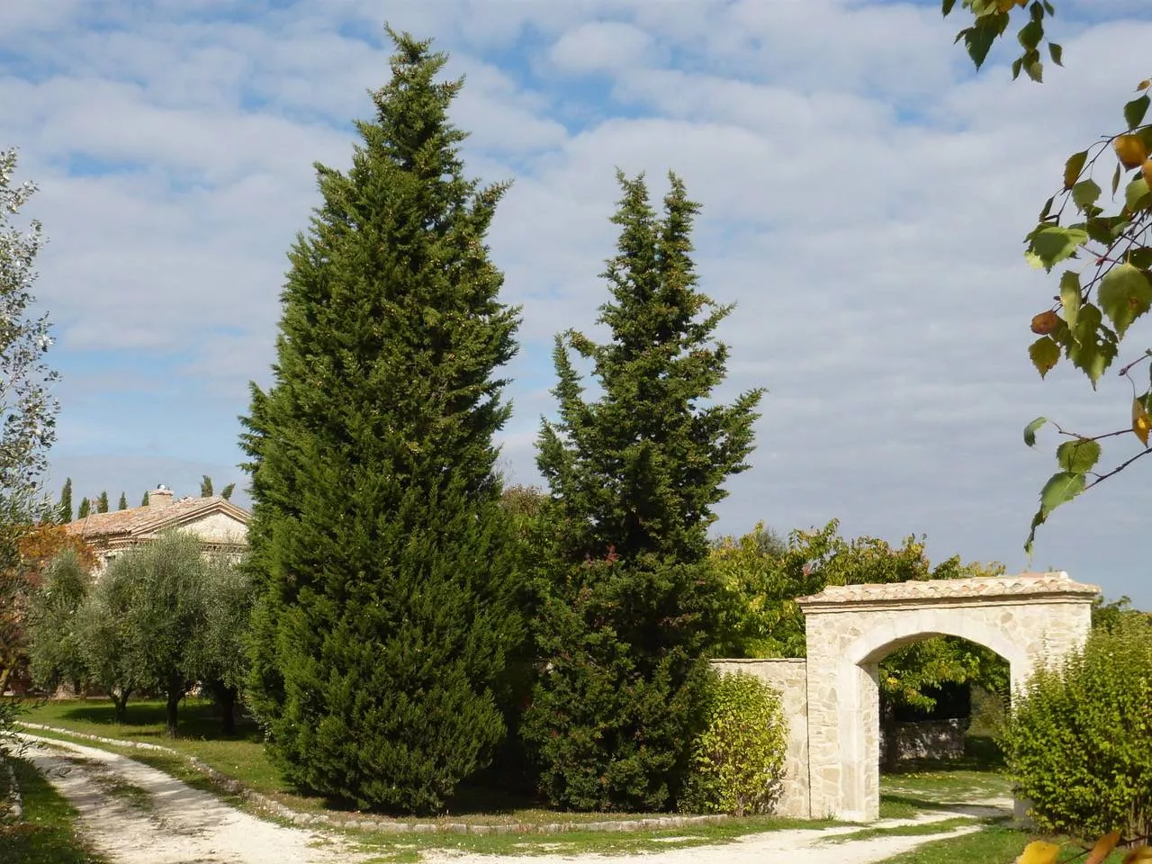 Immagine per Villa in vendita a Avigliano Umbro Sismano