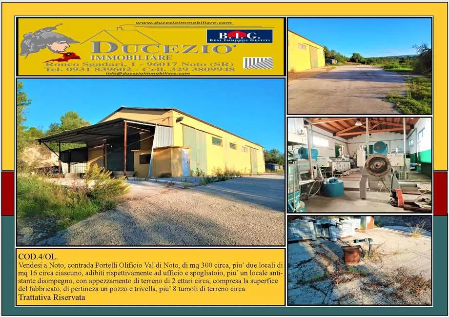 Immagine per Azienda agricola in vendita a Noto