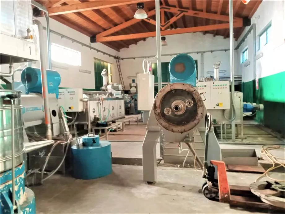 Immagine per Azienda agricola in vendita a Noto
