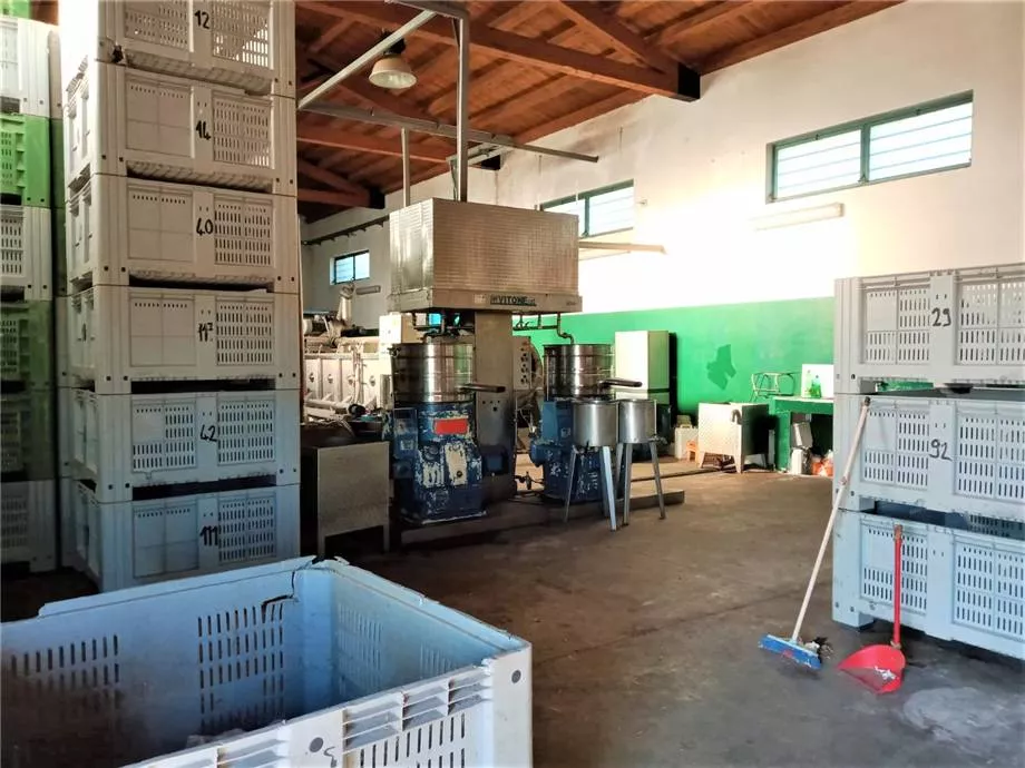 Immagine per Azienda agricola in vendita a Noto