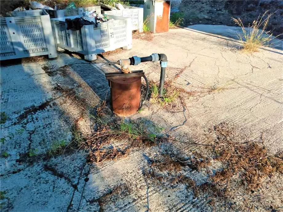Immagine per Azienda agricola in vendita a Noto