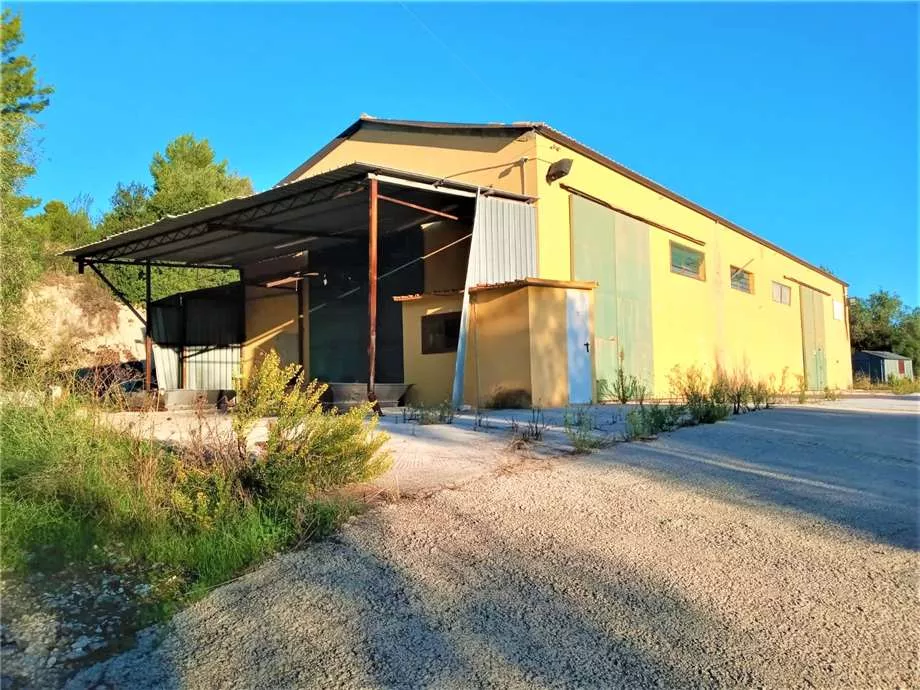Immagine per Azienda agricola in vendita a Noto