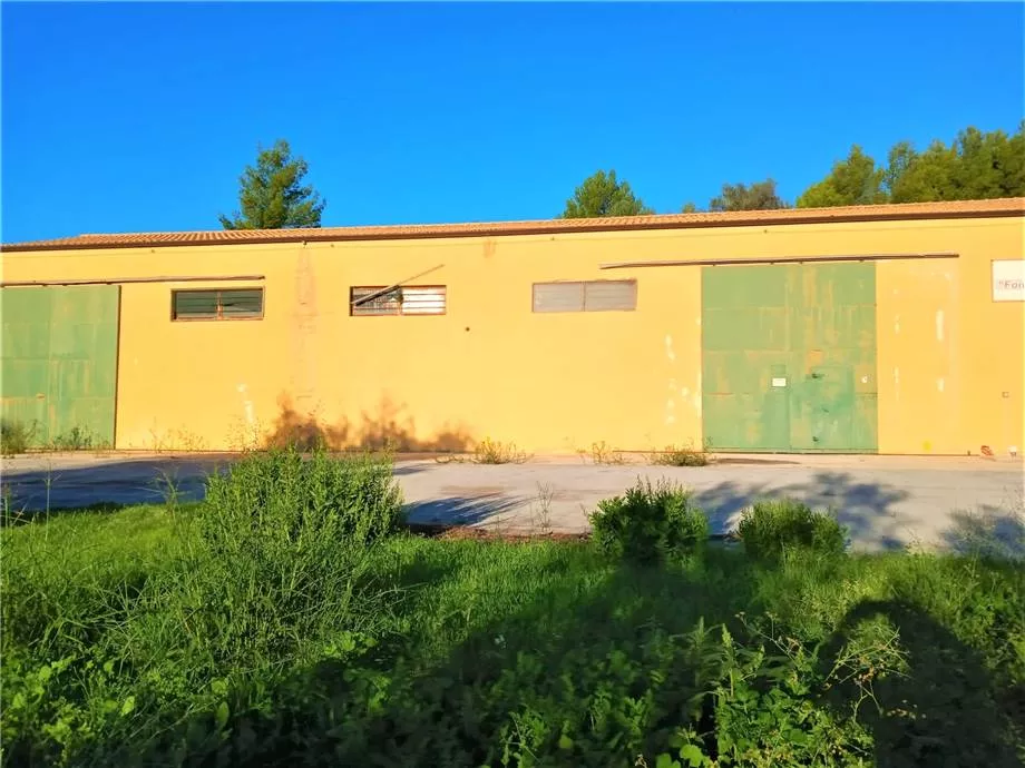 Immagine per Azienda agricola in vendita a Noto