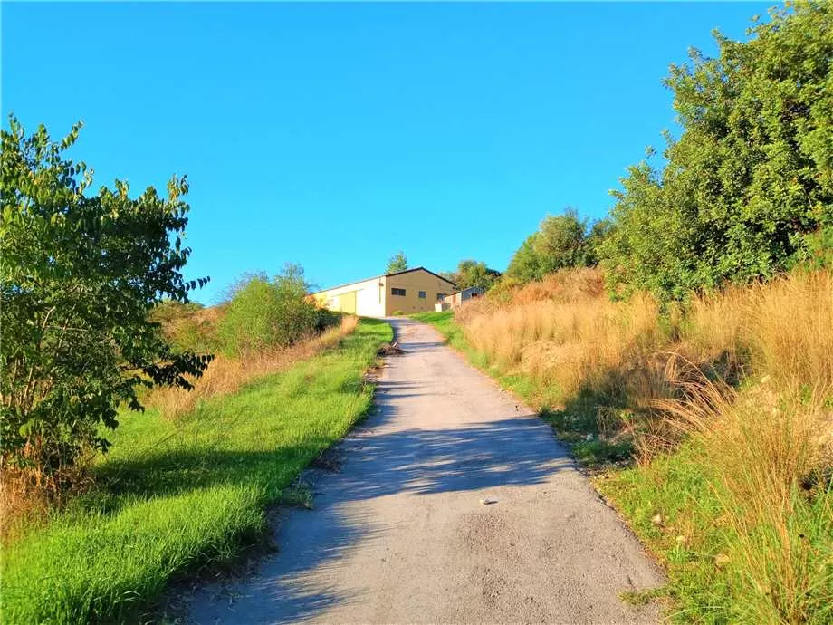 Immagine per Azienda agricola in vendita a Noto