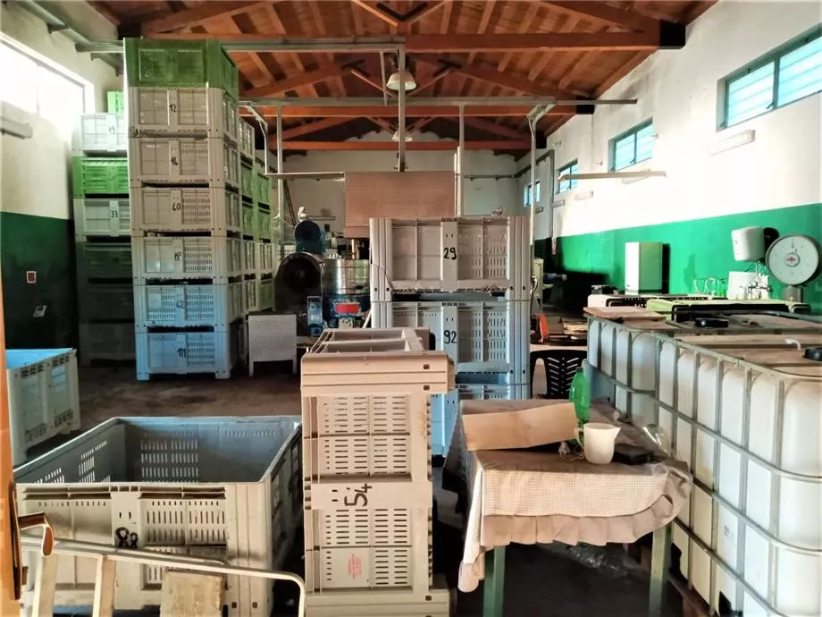 Immagine per Azienda agricola in vendita a Noto