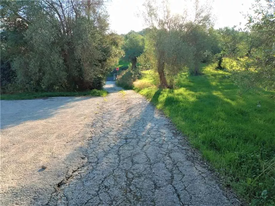Immagine per Azienda agricola in vendita a Noto