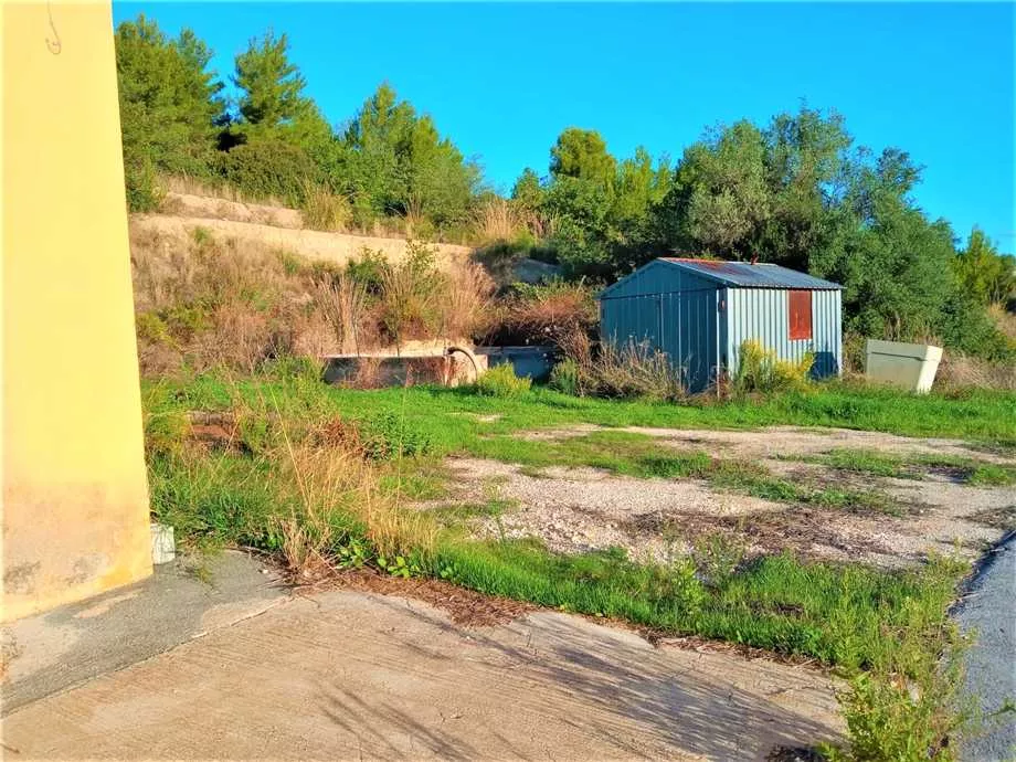Immagine per Azienda agricola in vendita a Noto