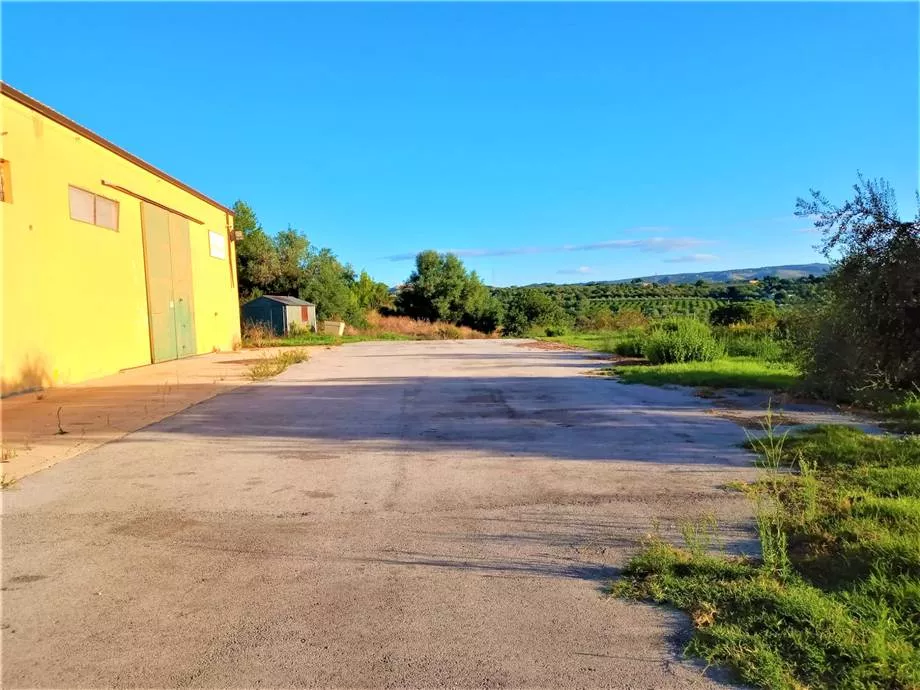 Immagine per Azienda agricola in vendita a Noto