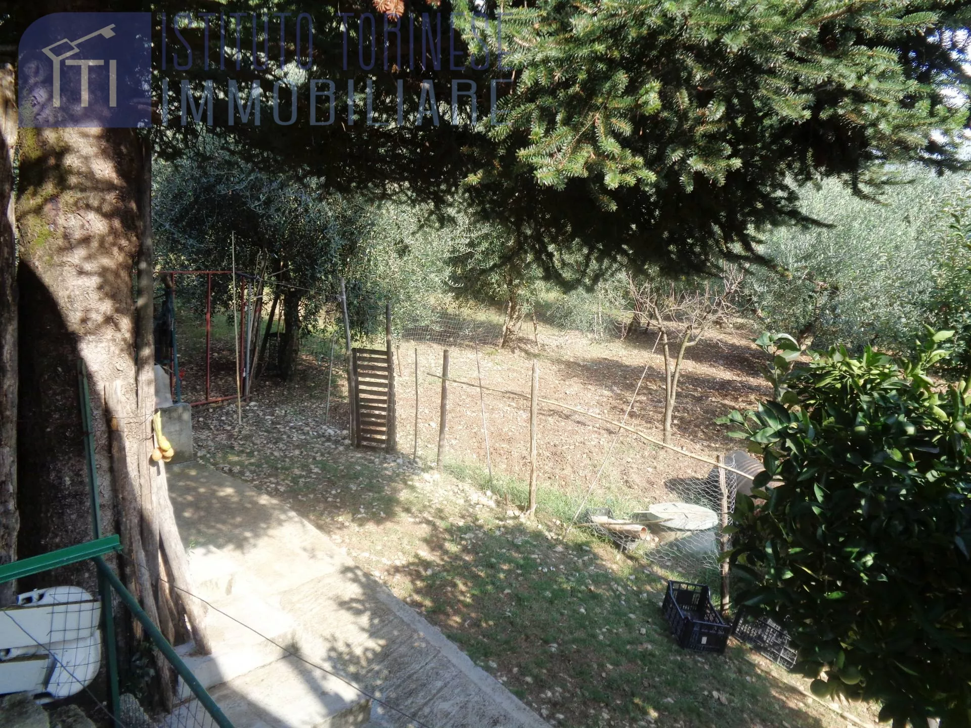 Immagine per Villa in vendita a Sant'Elia Fiumerapido via chiave gelarde 