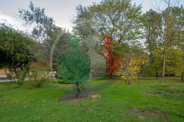Villa lungo, La Cassa