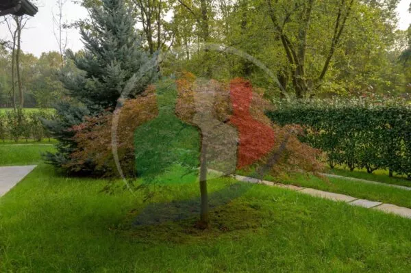Villa lungo, La Cassa