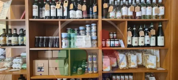 Attività Commerciale Mirafiori Nord, Torino