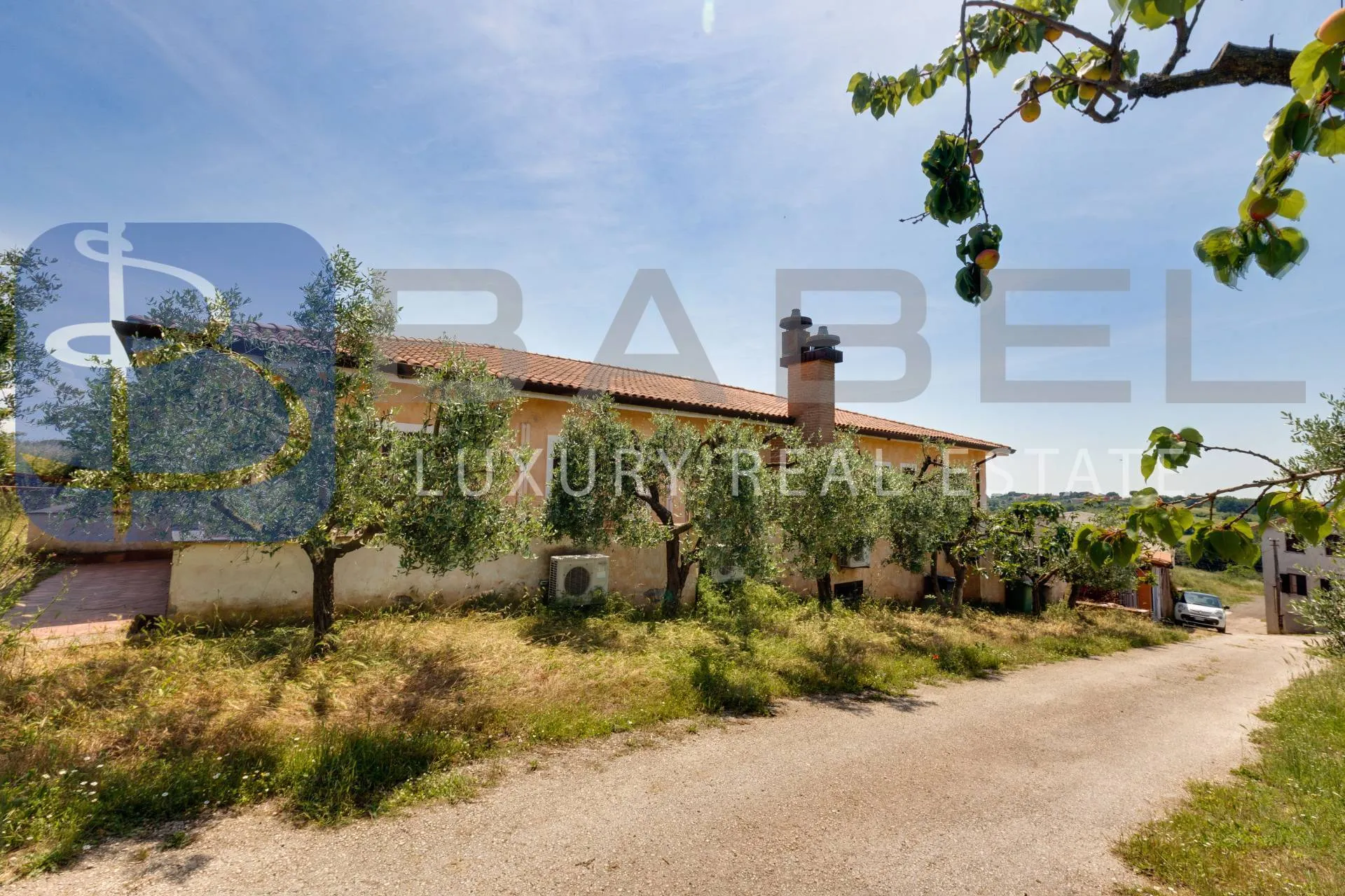 Immagine per Azienda Agricola in vendita a Riano Via Colle delle Rose