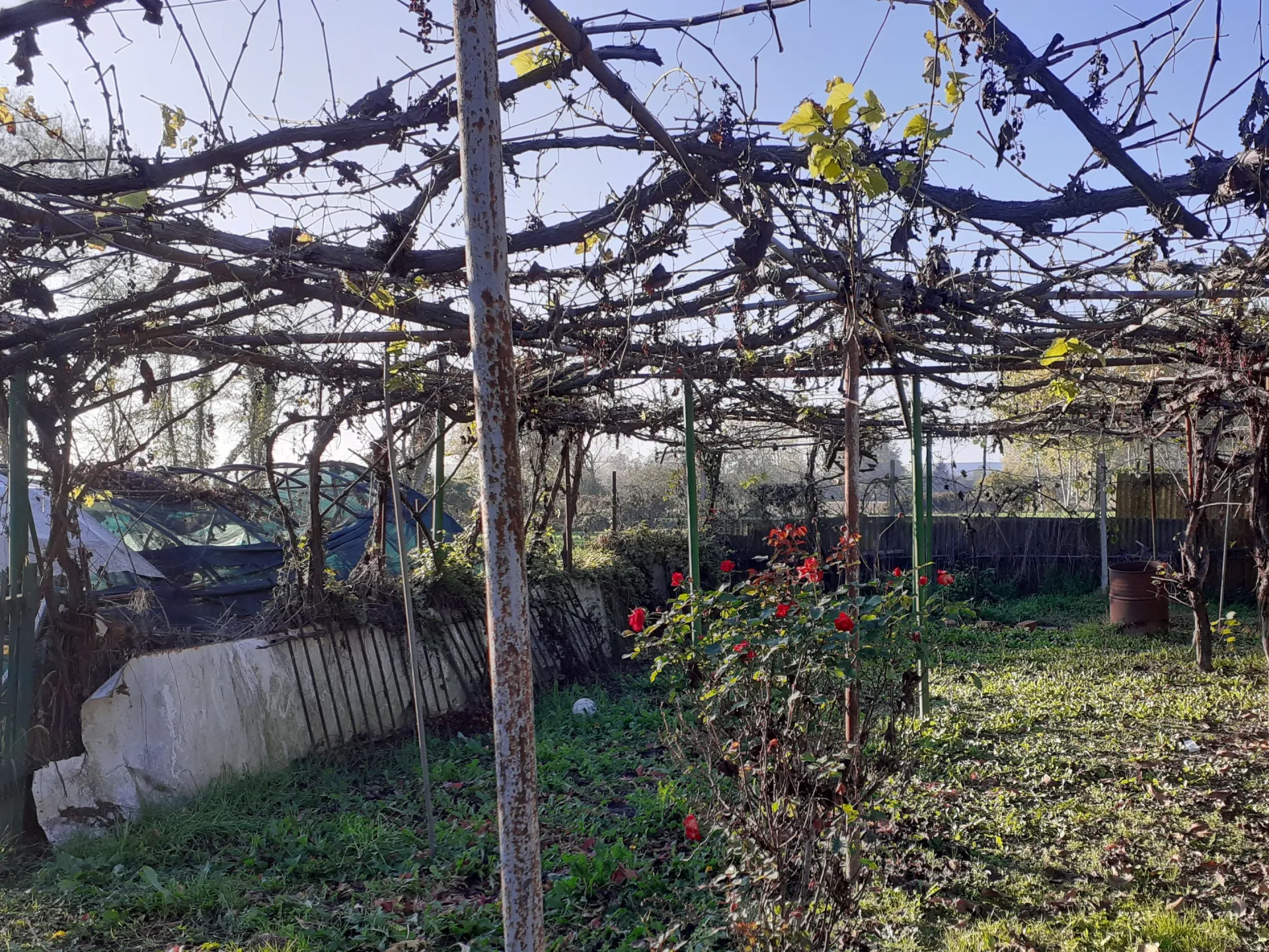 Immagine per Terreno Agricolo in Vendita a None Via Chisone