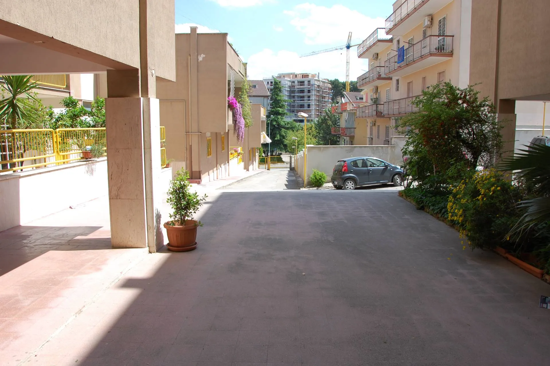 Immagine per Appartamento in vendita a Canosa di Puglia via Corsica