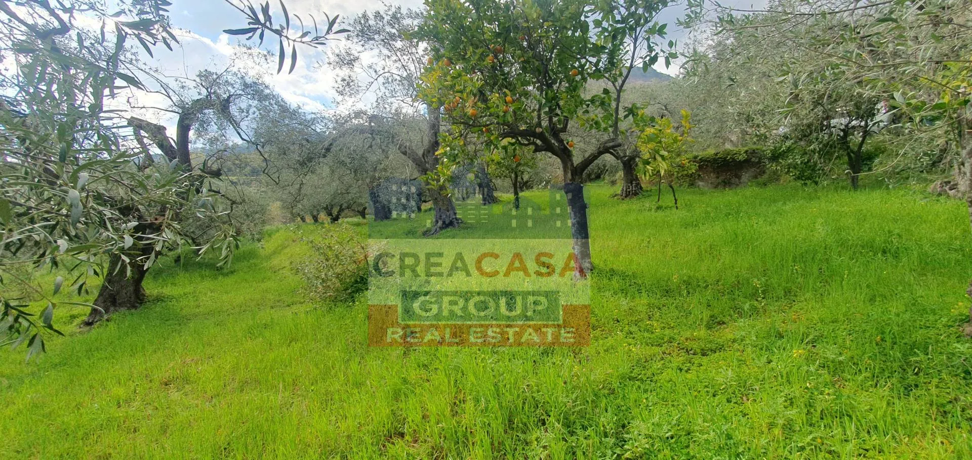 Immagine per Terreno Agricolo in vendita a Mongiuffi Melia LORMO