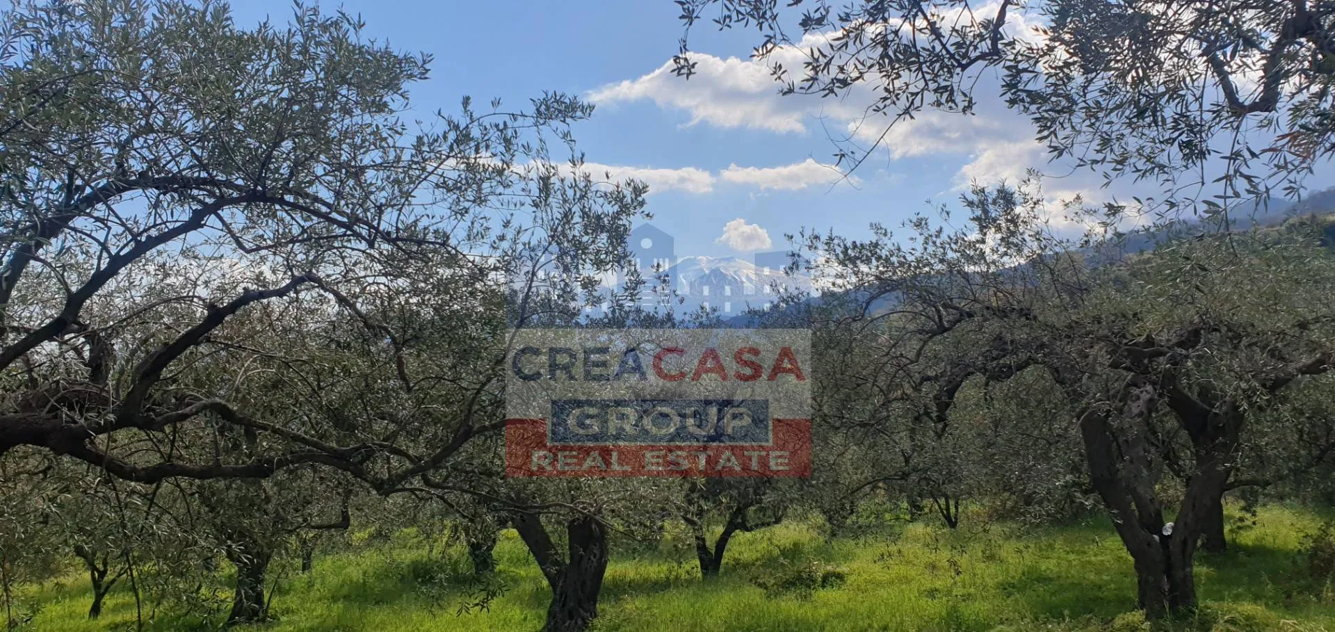 Immagine per Terreno Agricolo in vendita a Mongiuffi Melia LORMO