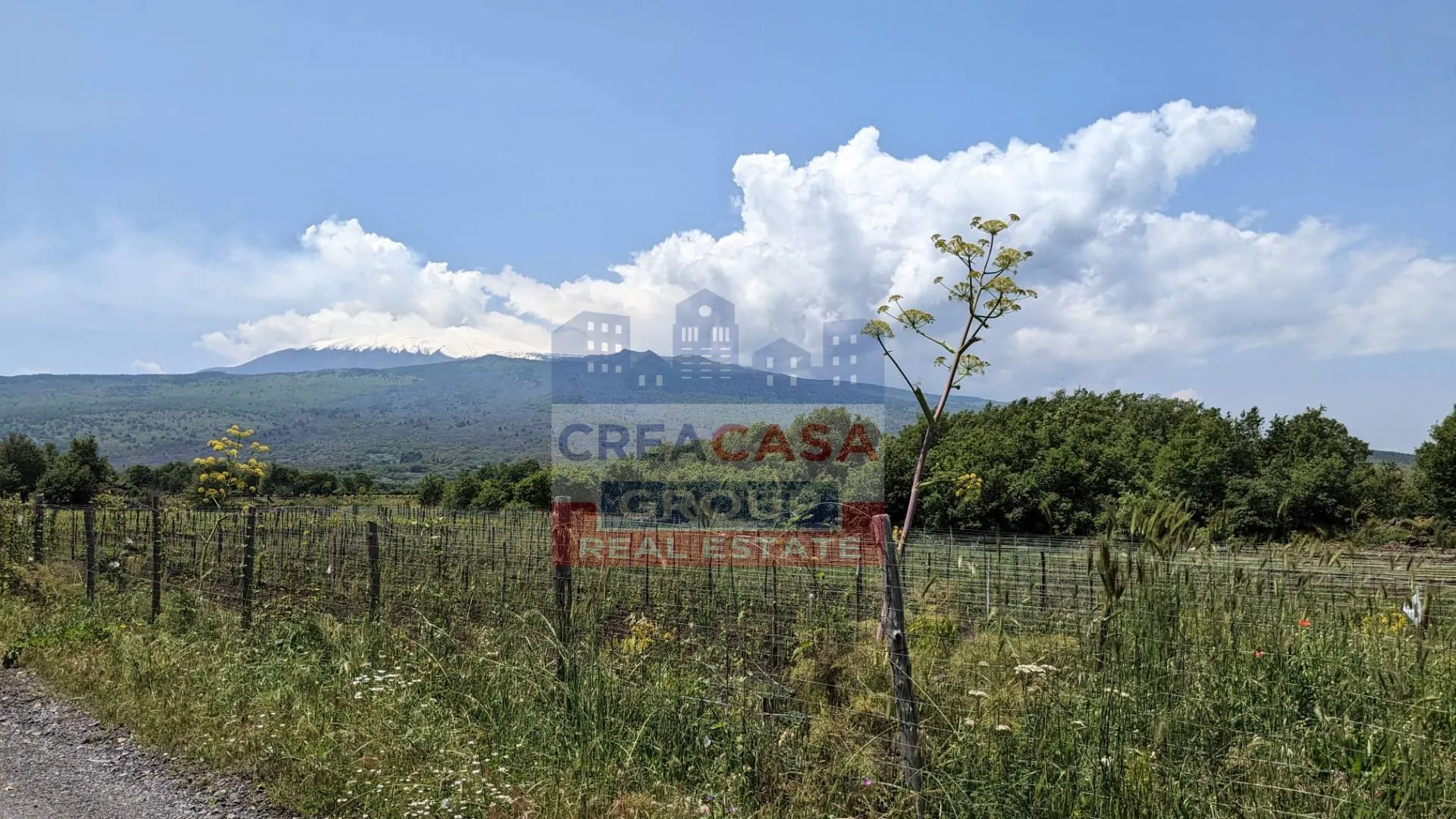 Immagine per Terreno Agricolo in vendita a Castiglione di Sicilia c.da Cerro