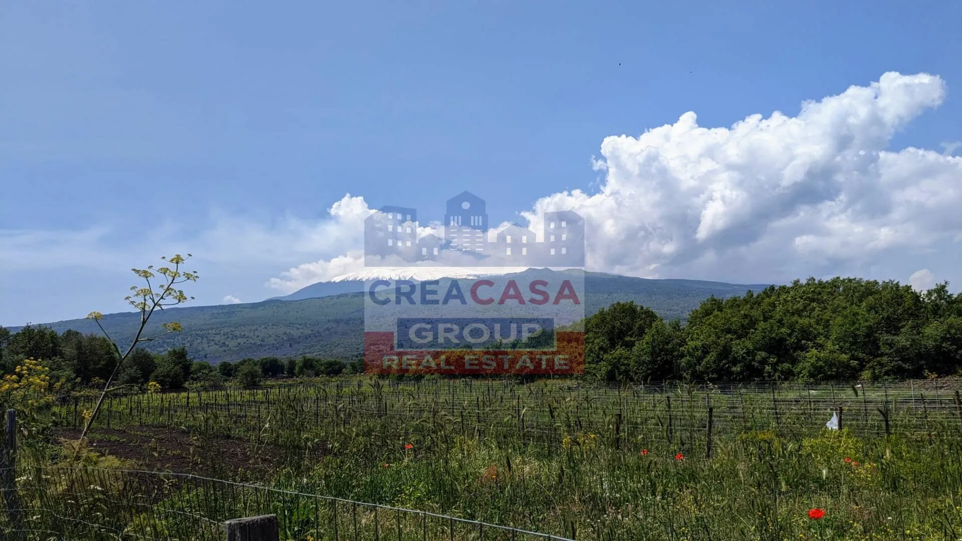 Immagine per Terreno Agricolo in vendita a Castiglione di Sicilia c.da Cerro