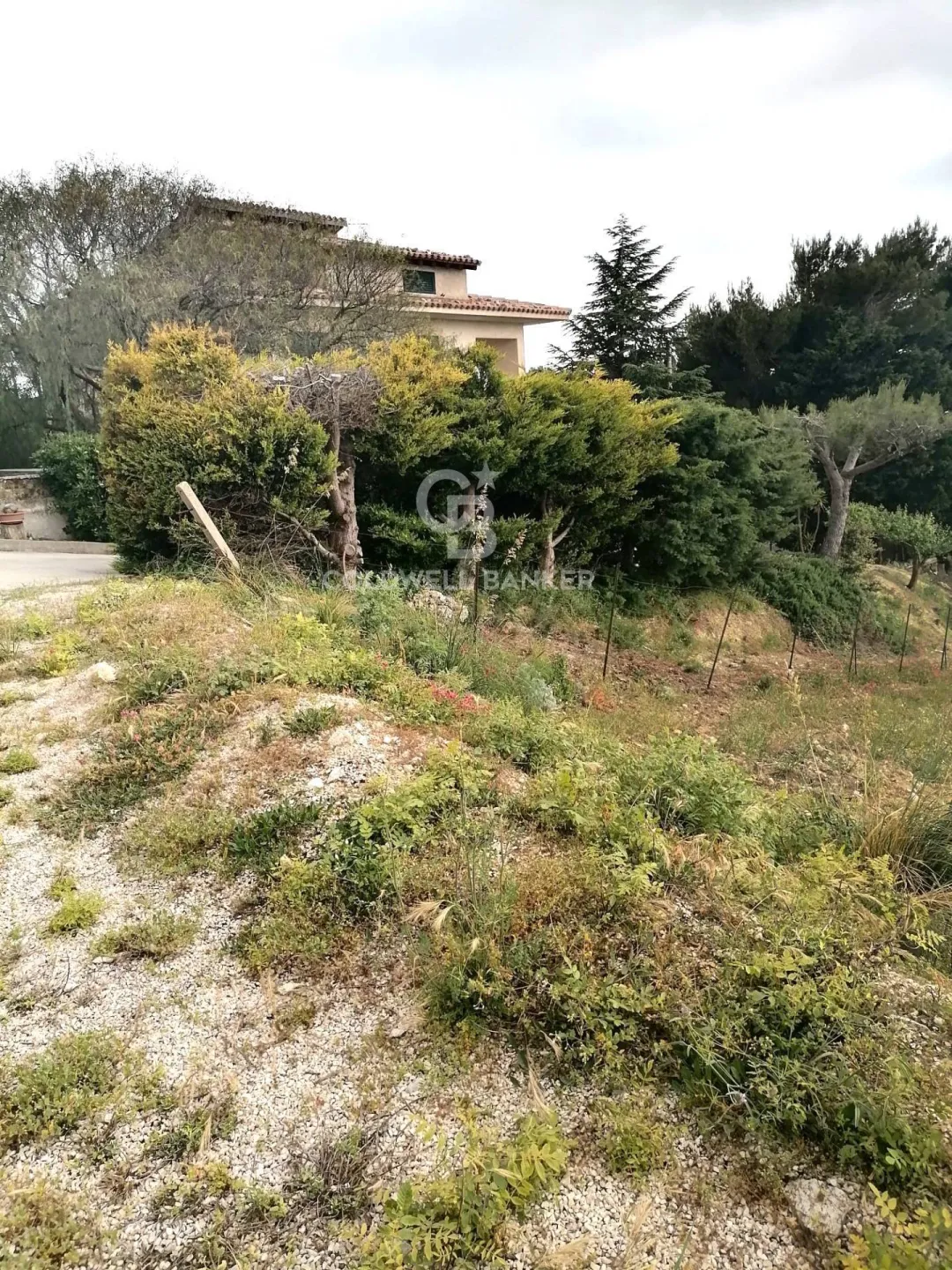 Immagine per Terreno Edificabile in vendita a Sambuca di Sicilia area archeologica di monte adranone