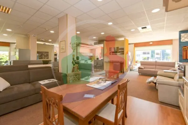 Show Room via Torino, Brandizzo