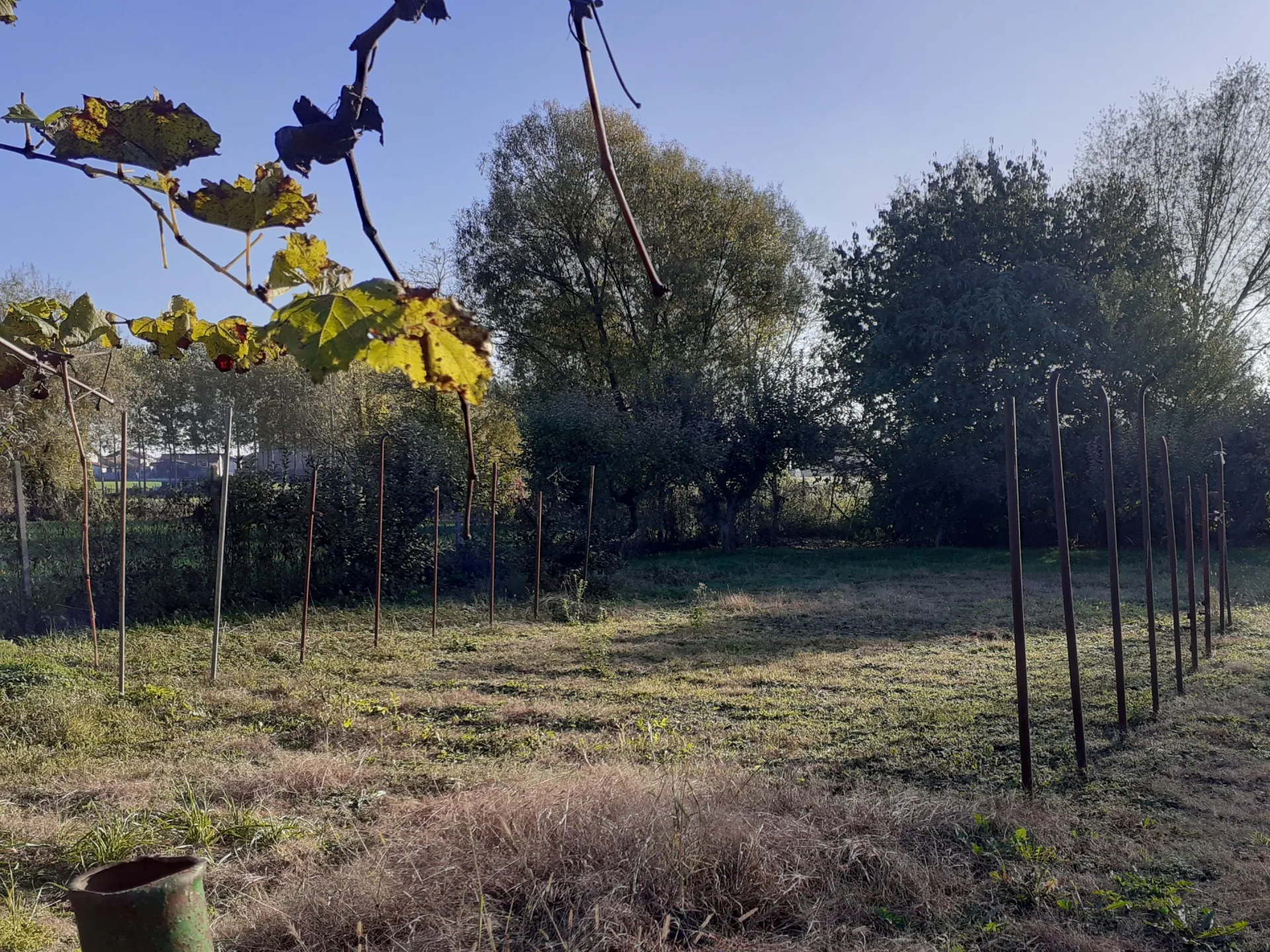 Immagine per Terreno Agricolo in Vendita a None Via Chisone