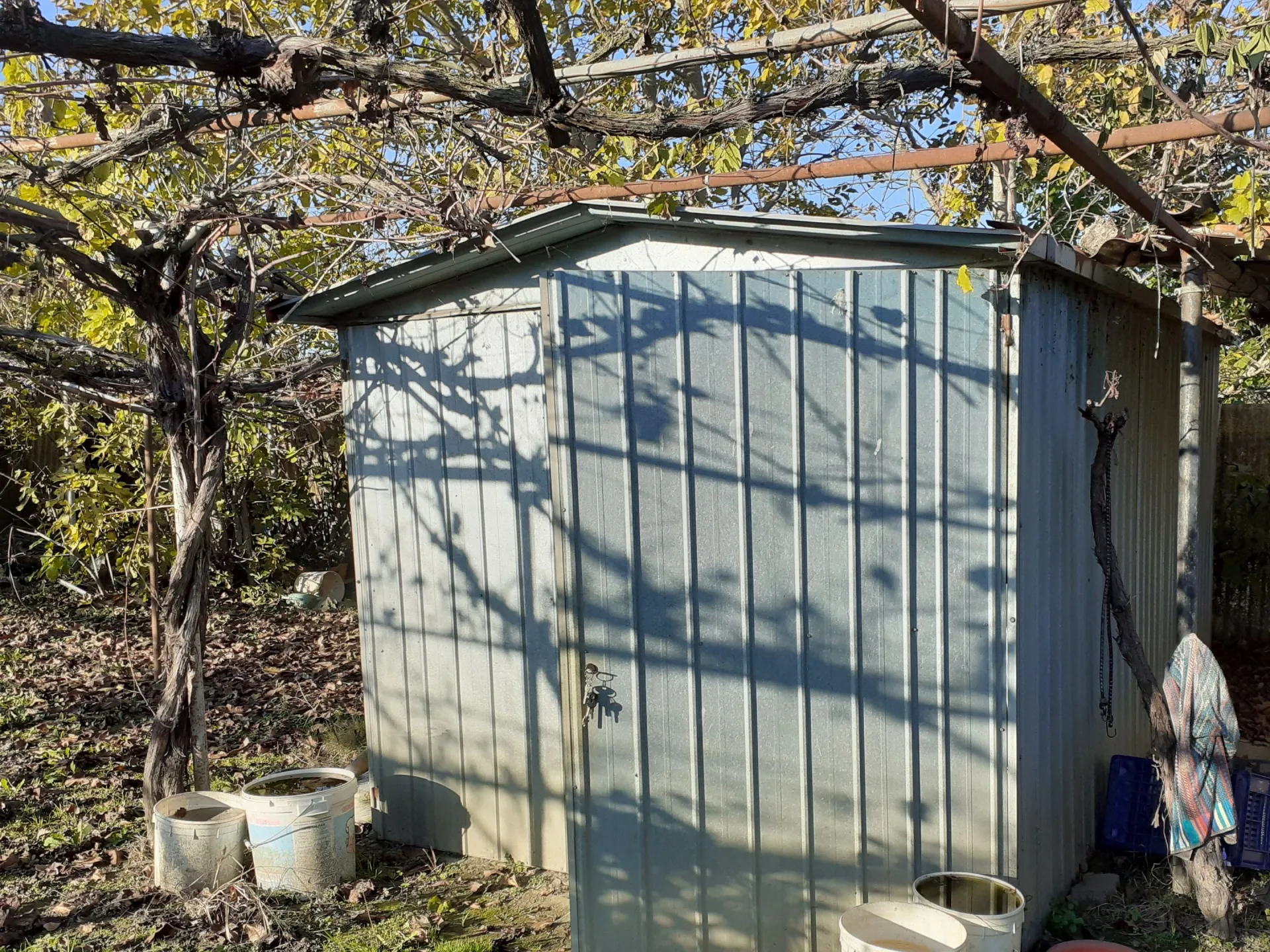 Immagine per Terreno Agricolo in Vendita a None Via Chisone
