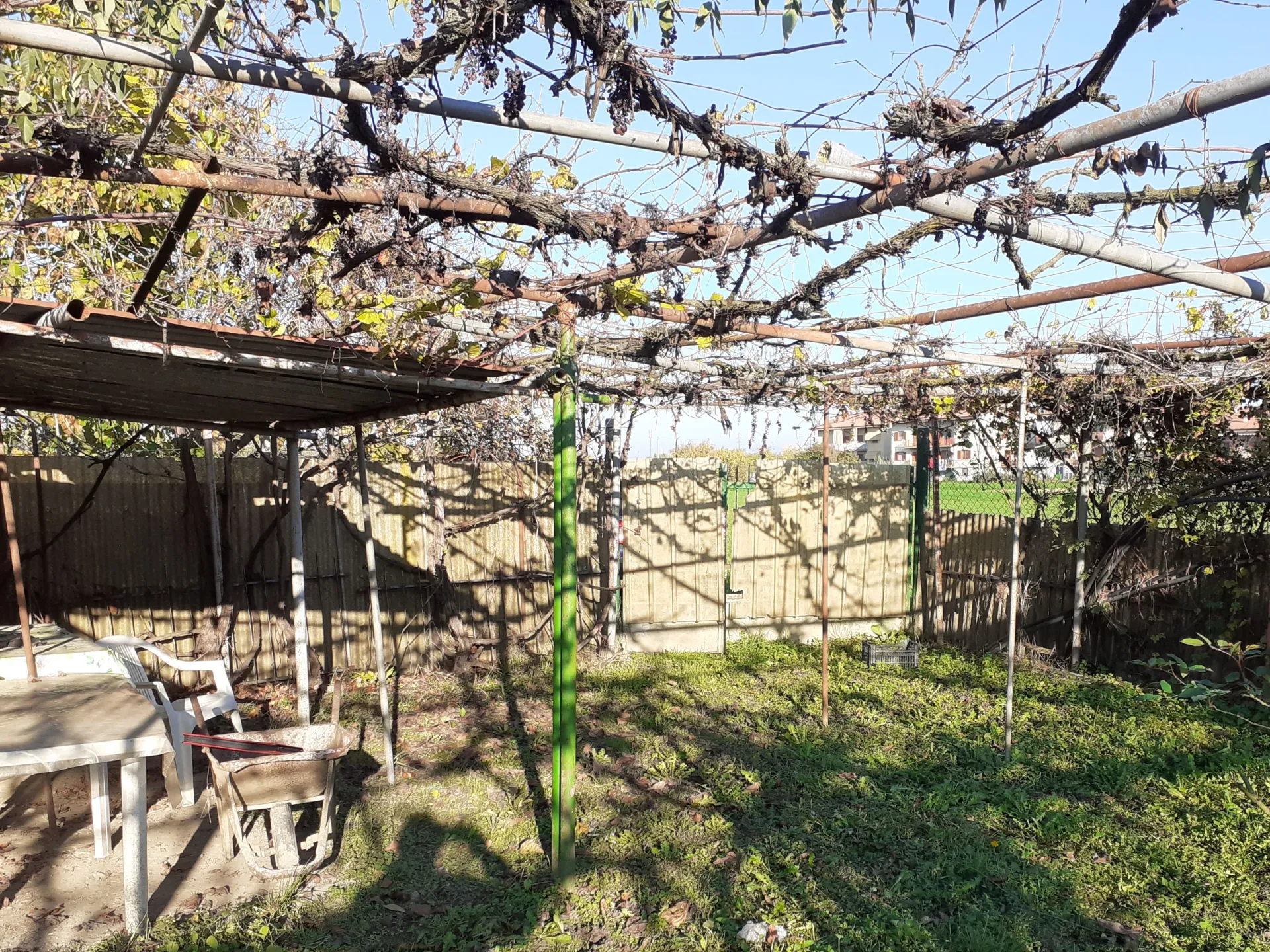 Immagine per Terreno Agricolo in Vendita a None Via Chisone