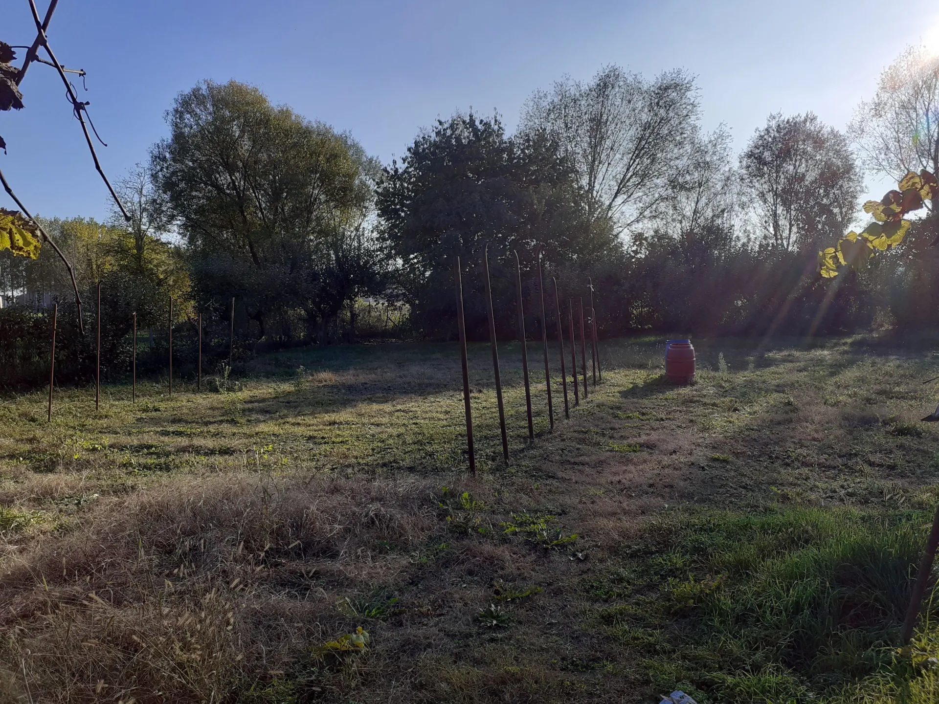 Immagine per Terreno Agricolo in Vendita a None Via Chisone