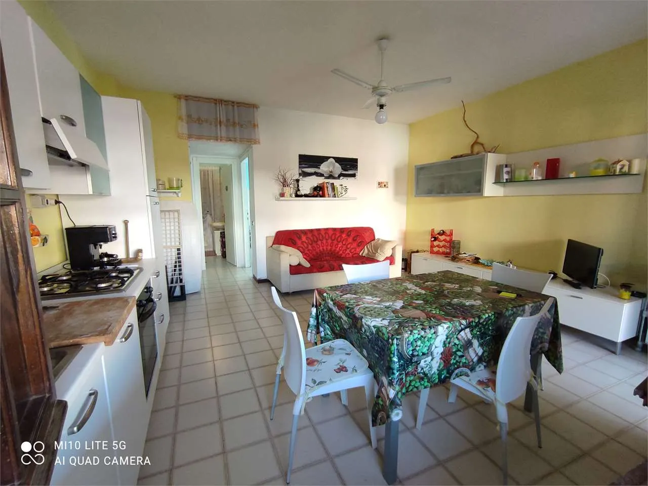 Immagine per Appartamento in affitto a Calasetta