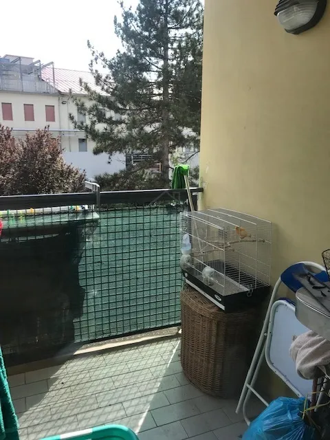 Immagine per Appartamento in vendita a Langhirano via Della Pace 1