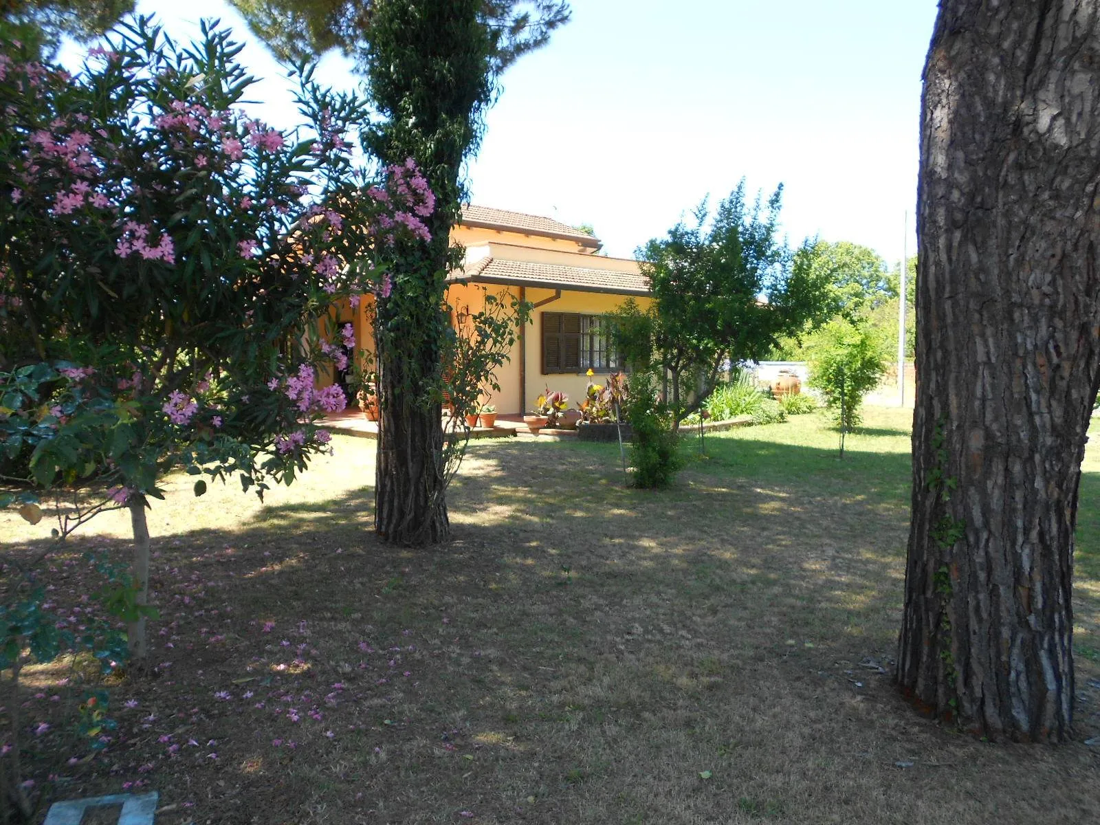 Immagine per Villa in vendita a Carrara Via Battilana