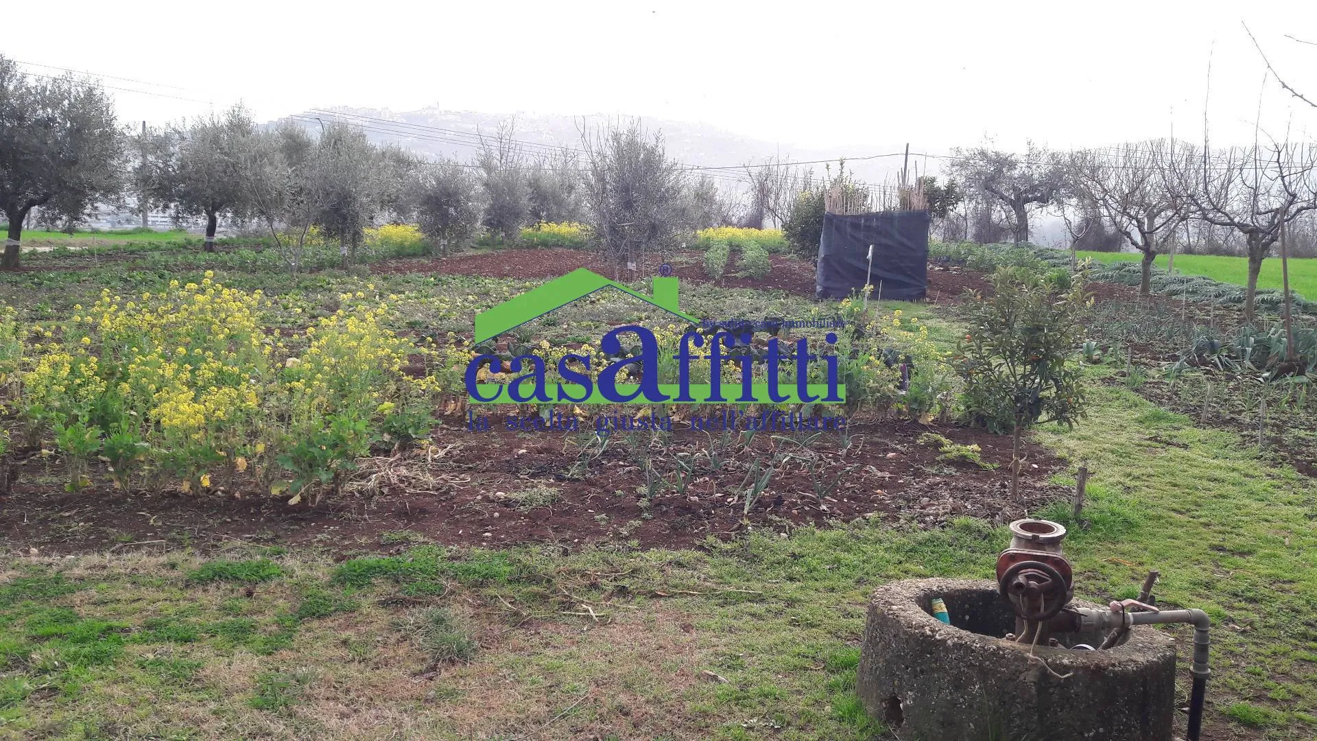 Immagine per Terreno Edificabile in vendita a Cepagatti