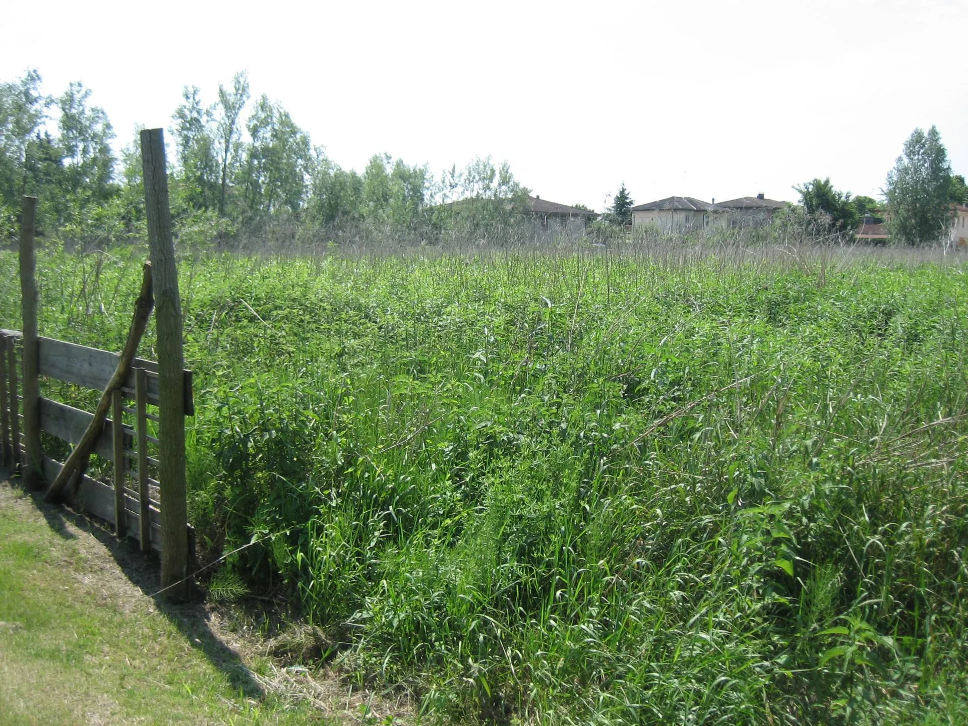 Immagine per Terreno Edificabile in vendita a Porto Viro corso Risorgimento