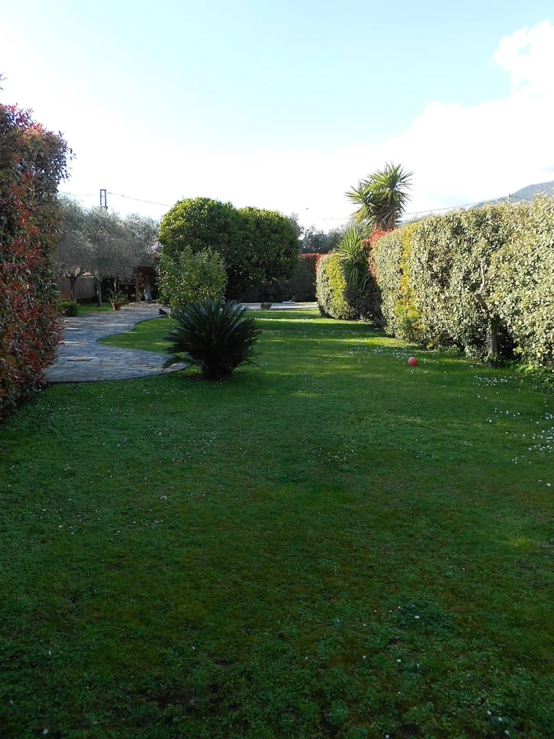 Immagine per Villa in vendita a Seravezza via Ranocchiaio