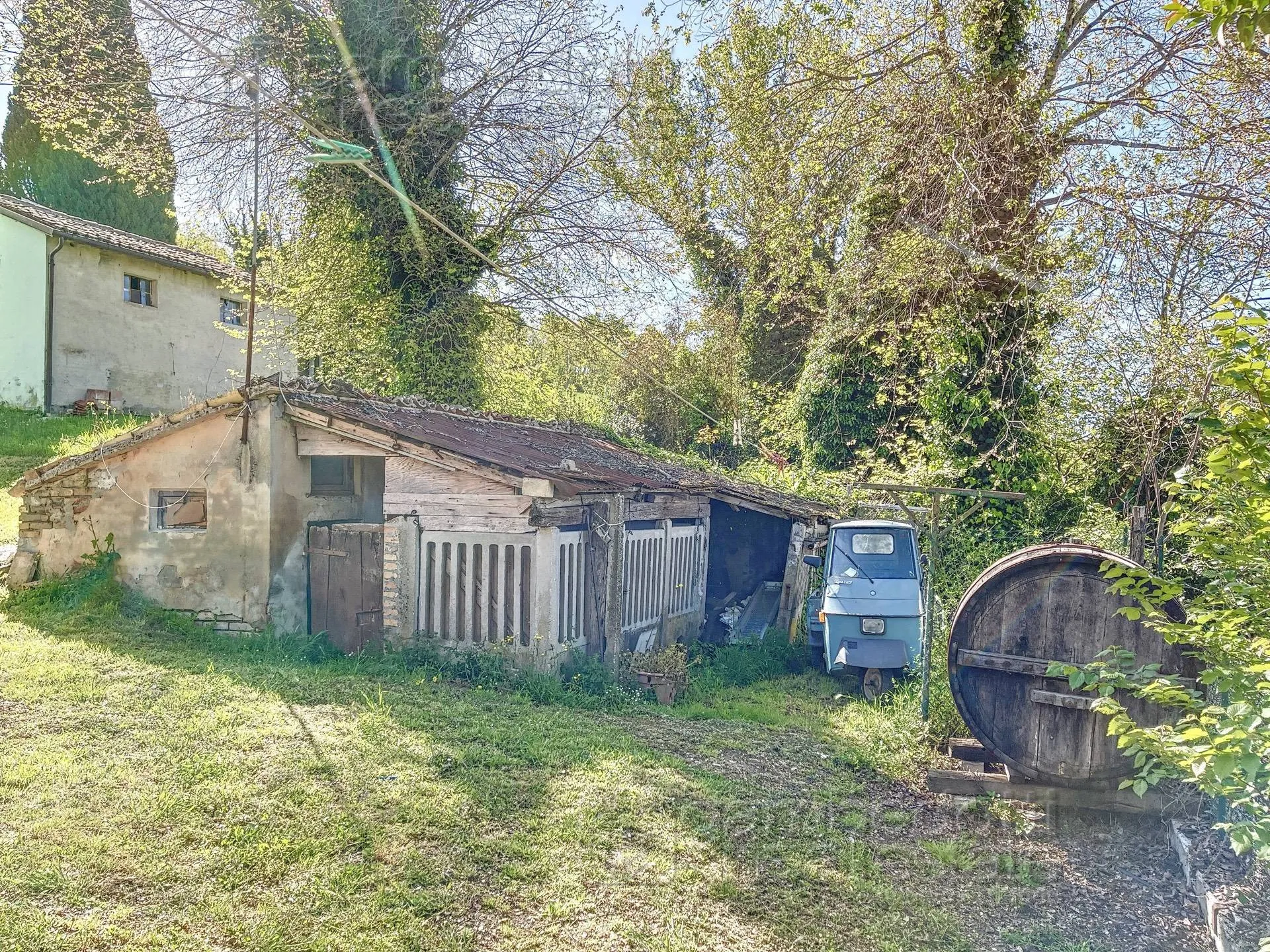 Immagine per Rustico/Casale in vendita a Petriano