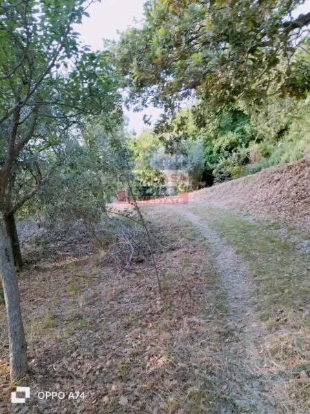 Villa C.da Acqualorto, Castelmola