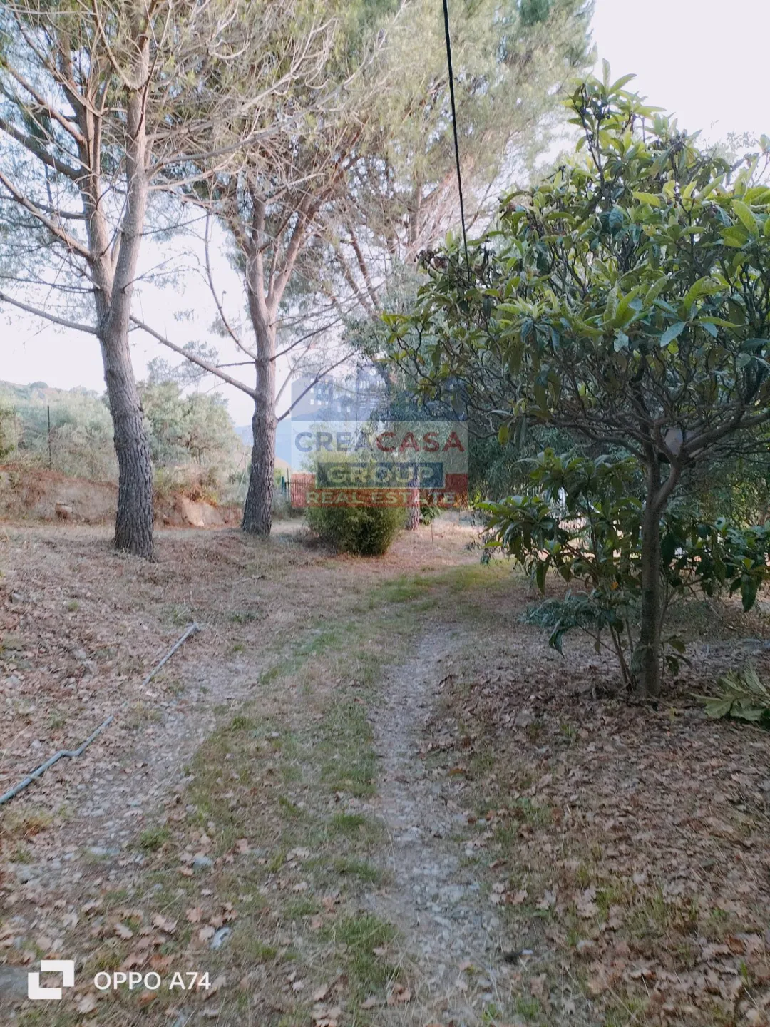 Immagine per Villa in vendita a Castelmola c.da acqualorto